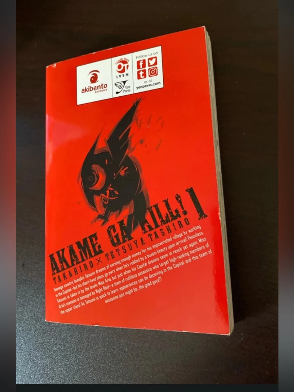 Akame ga Kill! Vol. 1 Manga - Striking Red & Black Cover